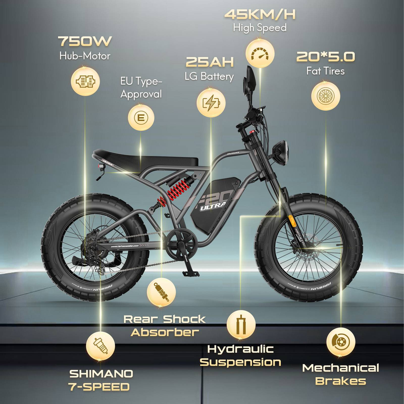 Fafrees F20 Ultra elektrische fiets, 750W 48V 25Ah accu, hydraulische schijfremmen_voghion.com