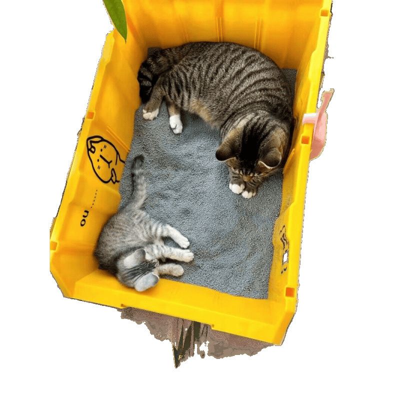 Caja de arena semicerrada, tipo abierto, inodoro extragrande, antisalpicaduras y a prueba de olores, suministros para gatos_voghion.com