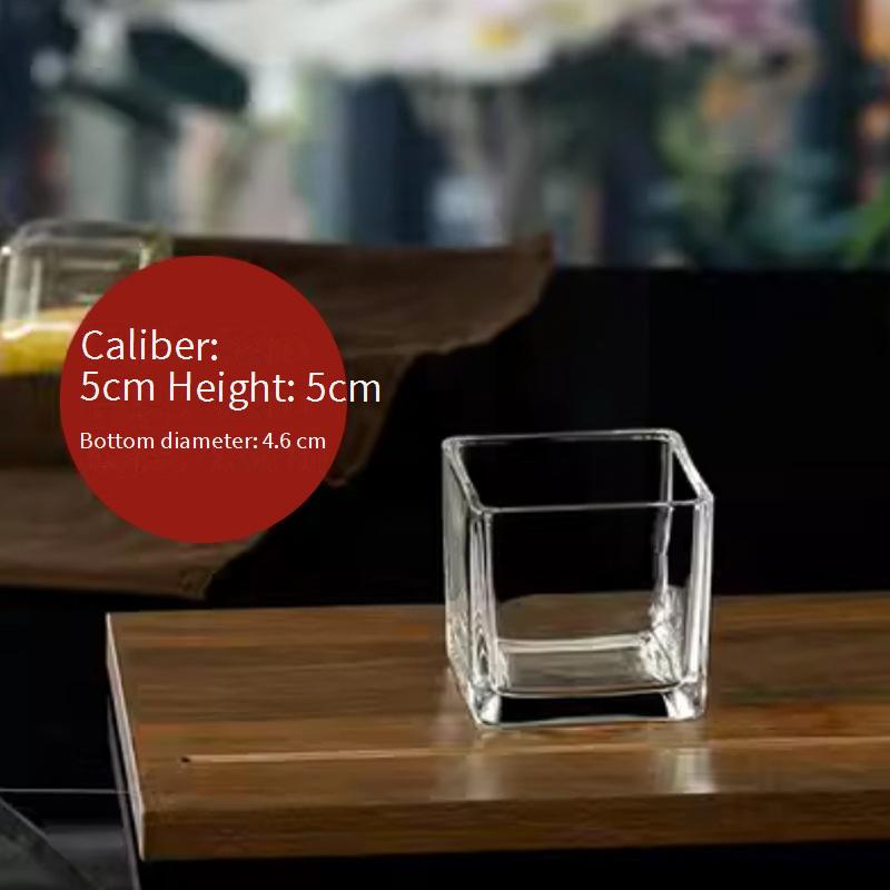 Home Decor Simple Hydroponic Vase Transparent Square Tank Water Growing Lily Tulip Daffodil White Palm Vessel Living Room Small Flower Pot_voghion.com