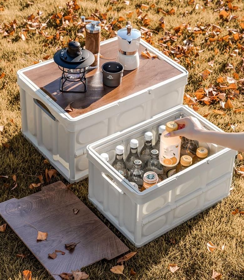 Contenitore per alimenti portatile pieghevole per bagagliaio auto da campeggio e picnic_voghion.com