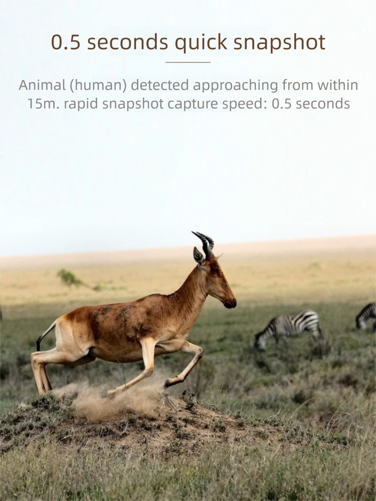 Grenzüberschreitende, wasserdichte Infrarot-Nachtsicht-Wildtiererkennungs-Fotokamera mit hochauflösendem Sensor für die Jagd_voghion.com