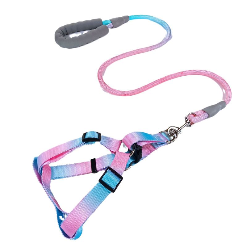 Guinzaglio Dopamina Gradient Color Gilet Pettorina Catena Corda per Cani_voghion.com