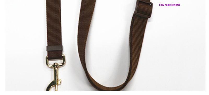 2022 New Solid Color Retractable Dog Running Pet Leash_voghion.com