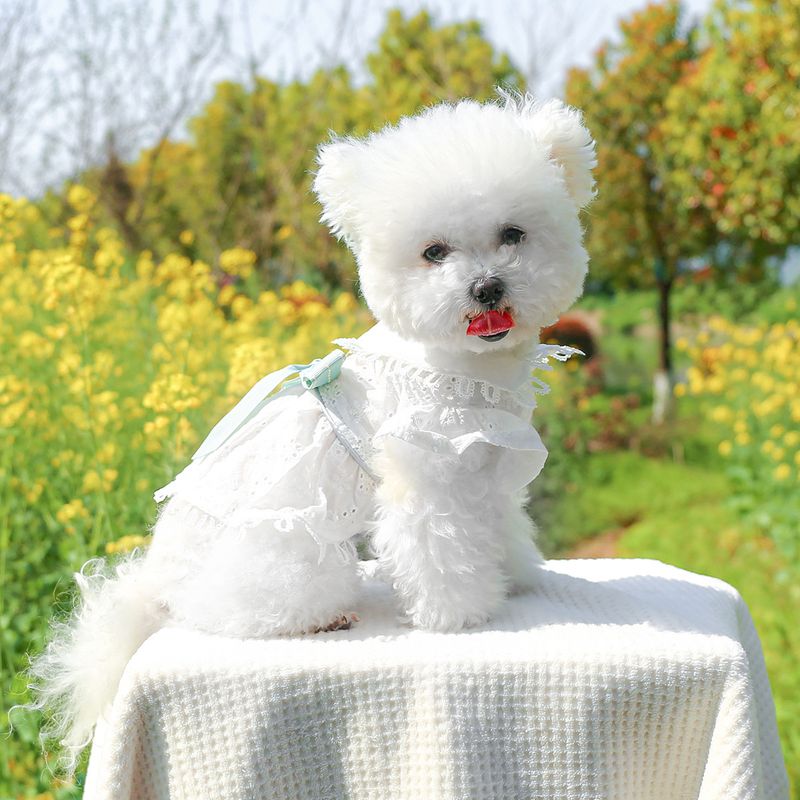 Pet Circle Dog Clothes Spring Summer Breathable Cool Comfortable Bowknot New Hollow Skirt For Small And Medium Dogs_voghion.com