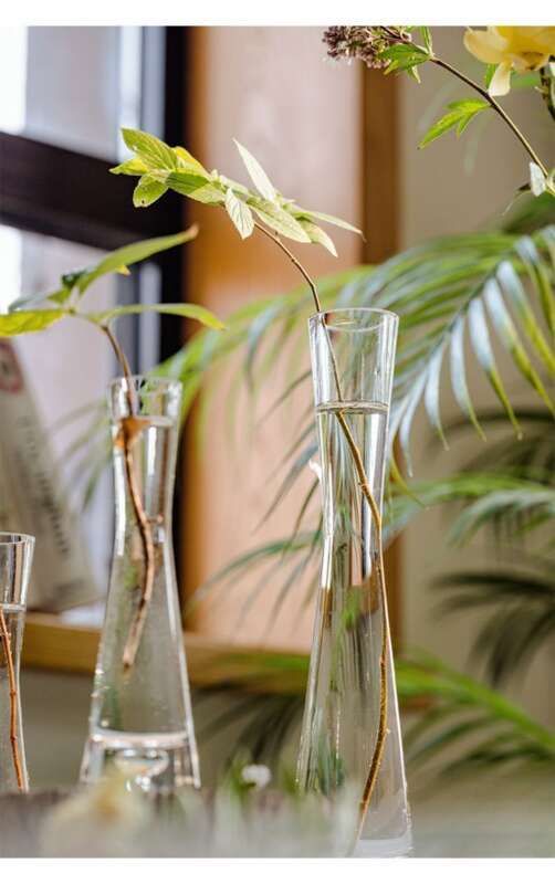 【 46000 People Collected 】 Juhan Nordic Ins High Beauty Arrangement Water Nourishing Small Vase Glass Transparent_voghion.com