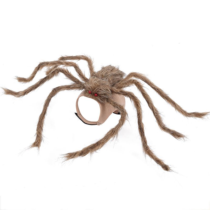 Halloween-Transformationskostüm, schwarze Spinne, Haustierdekoration, Geisterfest, groß, mittel, klein, Hunde, Katzen, lustige Kleidung_voghion.com