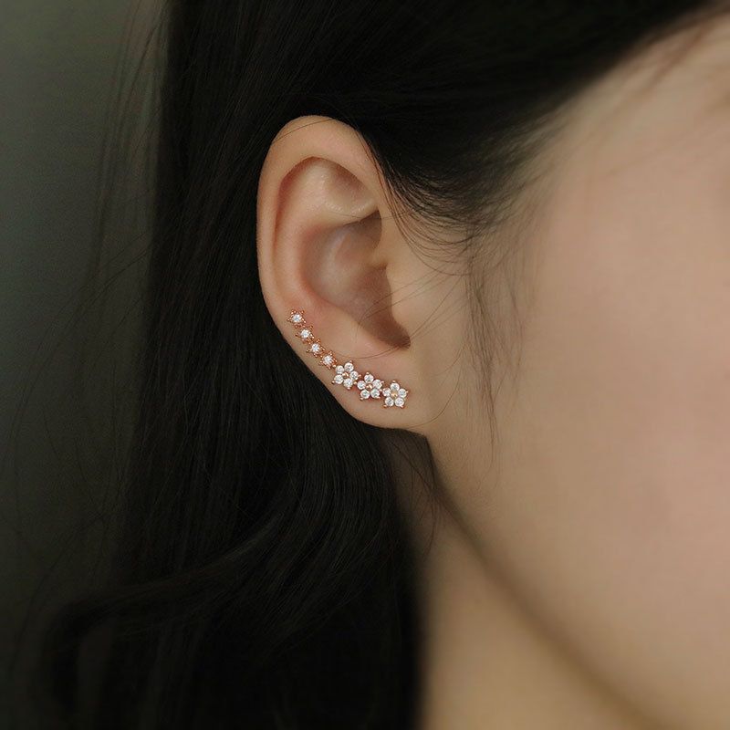 Korean Version Star Zircon Cuff Niche Design Small Flower Ear Hooks Ins Style High-end Alloy Earrings_voghion.com