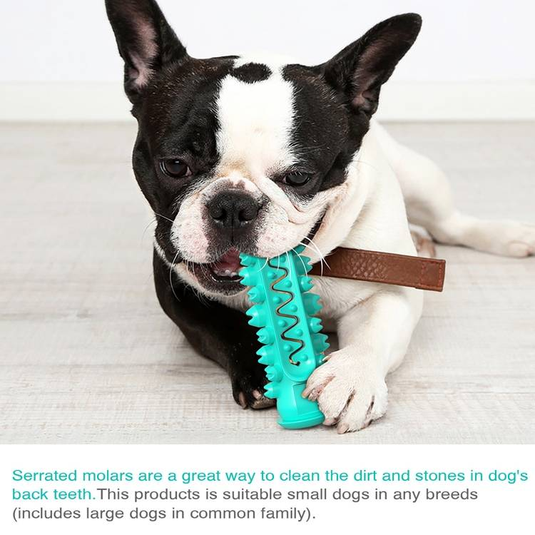 Cepillo de dientes para perros con sonido de mordida y fugas_voghion.com