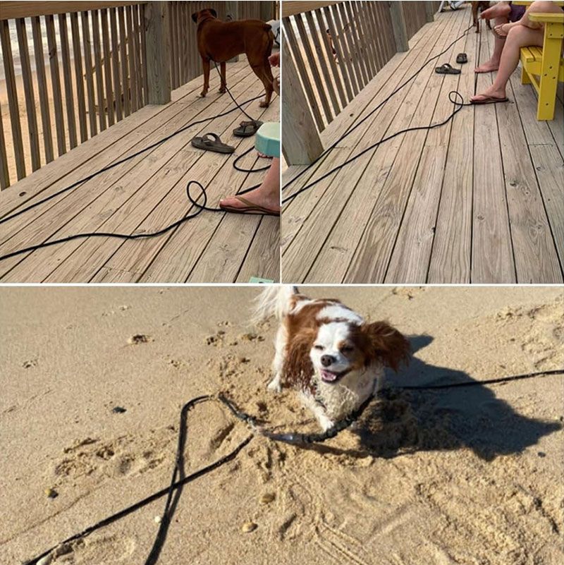 5M/10M/15M lange Hundeleine aus Seil – strapazierfähige Hundeleine aus Nylon für das Rückruf- und Agility-Training, für mittelgroße und große Hunde_voghion.com