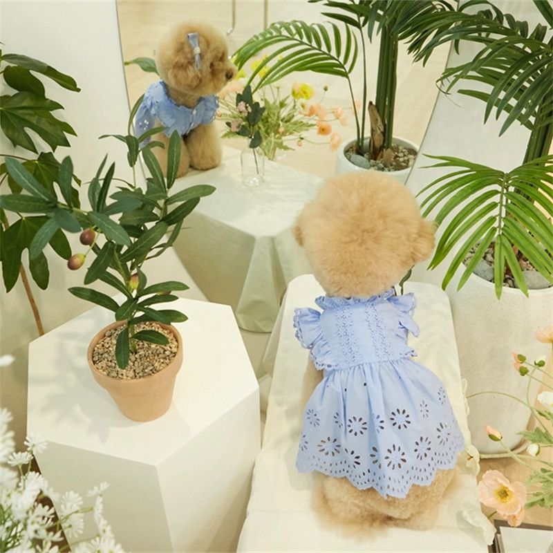 Vestito estivo da principessa con maniche a palloncino in pizzo per animali domestici 2025 per cani e gatti Teddy Bichon, vestiti sottili + copricapo_voghion.com
