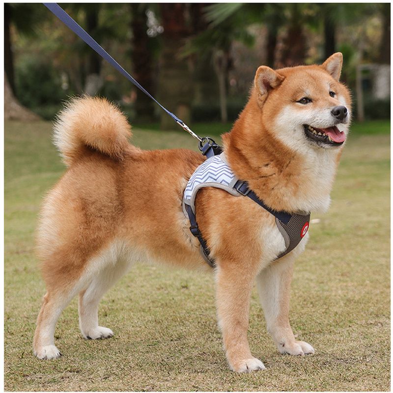 Nuova imbracatura per il petto con guinzaglio riflettente e traspirante, catena per cani_voghion.com