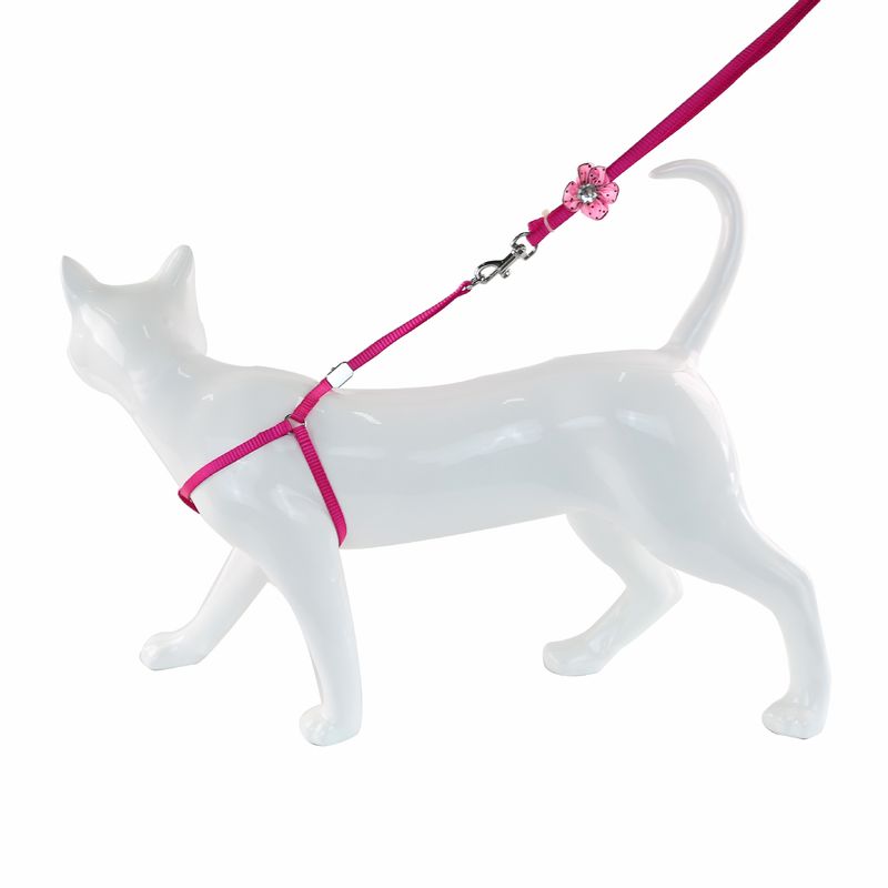 Puppy Diamond Patroon Multi-Kleur Nylon Lijn Borsttuig Kat Hond Ketting_voghion.com
