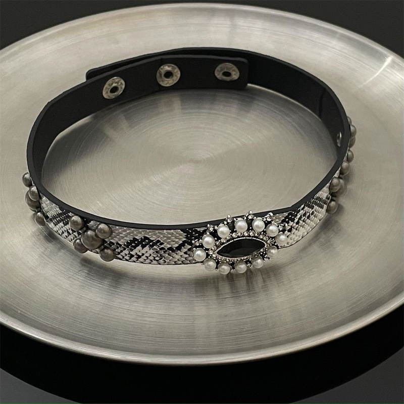 Designer Cool Europese en Amerikaanse mode Slangenhuidpatroon Luxe leren gierstkralenkraag Vrouwelijke minderheid Licht Luxe Spice Girl nekband_voghion.com