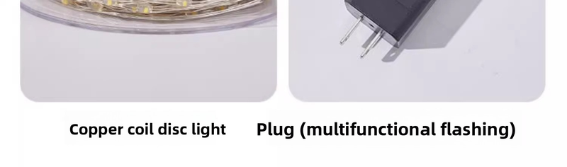 100 m lange LED-Lichterkette für Weihnachten – 2000 Philips LED-Birnen, IP44 wasserdicht, Fernbedienung, 3000 K Warmweiß/Farbwechsel, 8 Beleuchtungsmodi_voghion.com