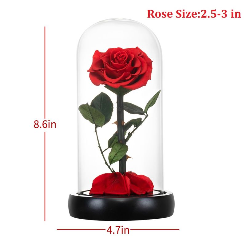 Eternal Rose Beauty and The Beast Preserved Rose Flower In Glass Dome LED Light Forever Gift for Valentine Mother Day Christmas_voghion.com