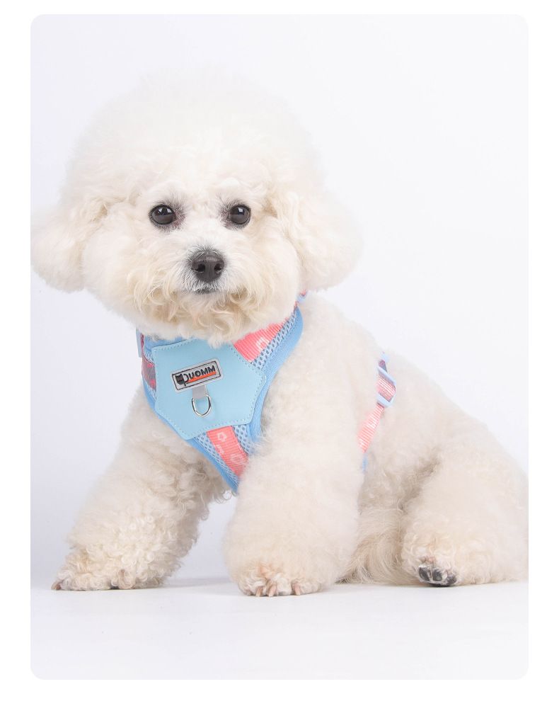 Dopamine Dog Harness For Small And Medium Dogs Outdoor Gradient Print Pet Leash Comfortable Breathable Summer_voghion.com