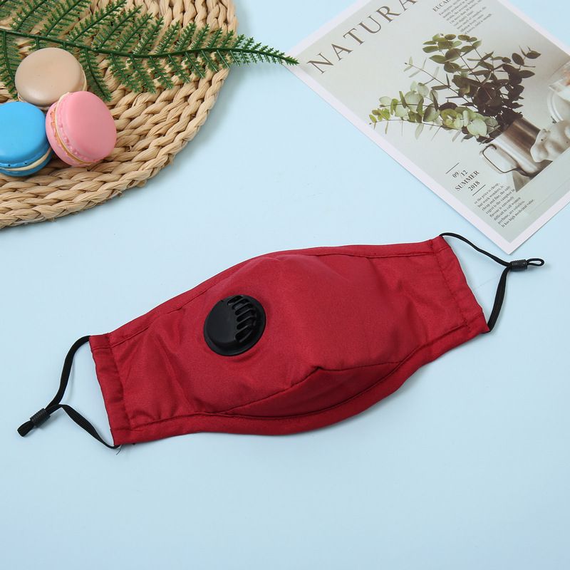 Indossare una mascherina antipolvere traspirante e lavabile, adatta a tutte le stagioni, e una mascherina per adulti_voghion.com