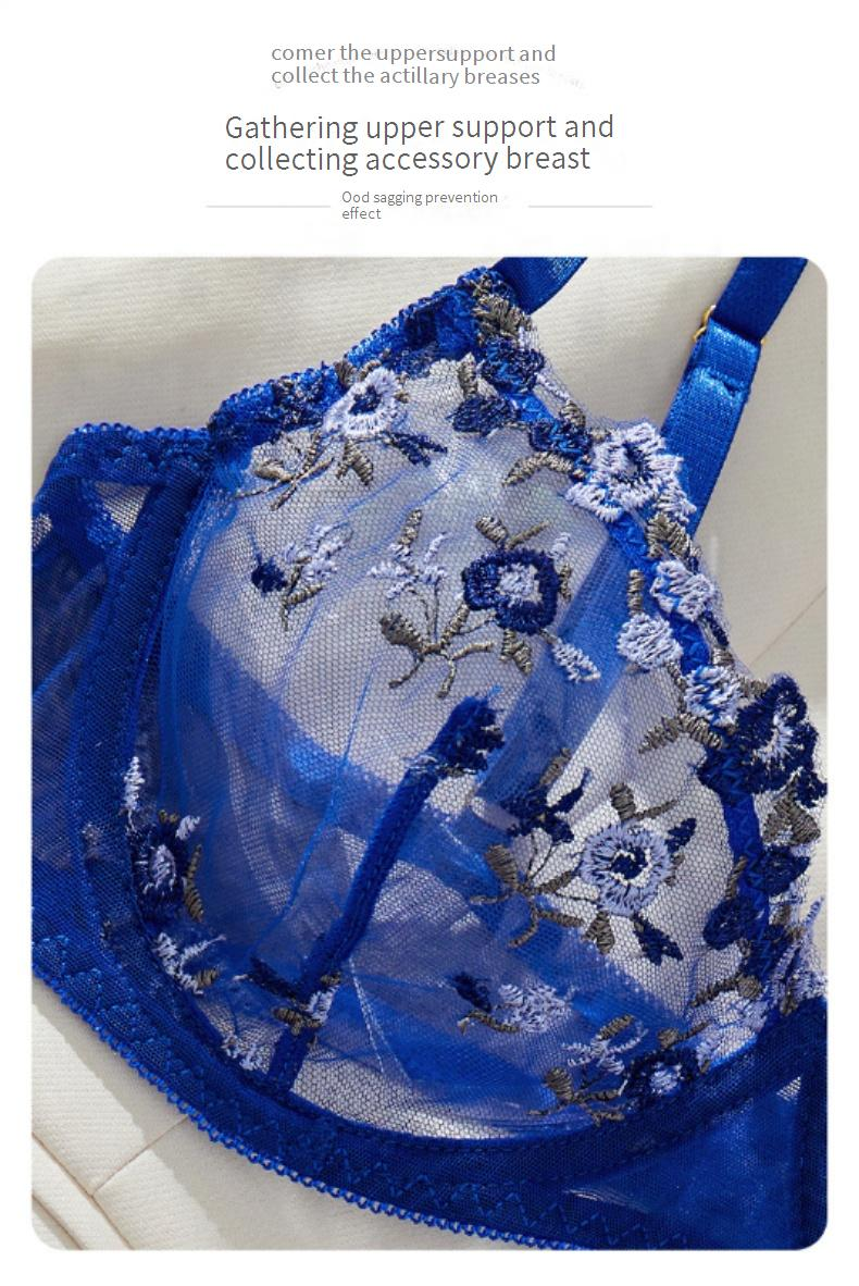 Women's Intimates Perspective Embroidery Blue Bra Underwear Women's Pure Desire Style Mesh Temptation Underwear Set_voghion.com
