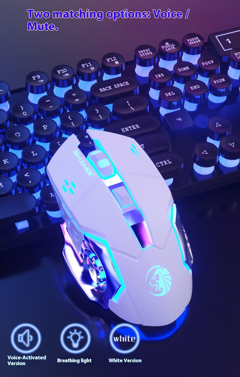 Wired Gaming Mouse – 6D RGB, 3000DPI, 4-Speed Adjustable, Silent/Audible Clicks, Ergonomic (Black/White/Blue/Pink)_voghion.com