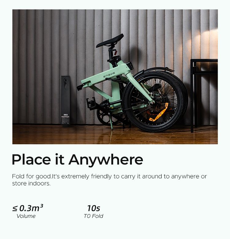 Bicicletta elettrica pieghevole ENGWE P20 da 20 pollici, motore con sensore di coppia da 250 W, batteria da 36 V e 9,6 Ah, freni a disco idraulici, bicicletta elettrica_voghion.com