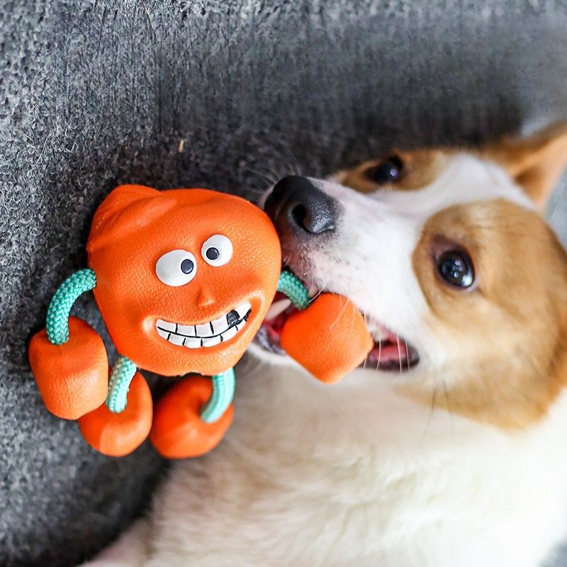 Durable Chew Teething Fun Rubber Teddy Border Collie Dog Sound Toy Ball_voghion.com