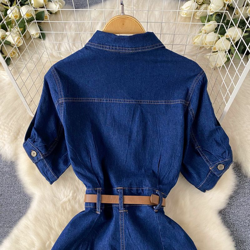 Dameskleding Licht Luxe Celebrity Stijl High End Polo Kraag Denim Jurk Voor Vrouwen Zomer Split Taille Riem Ontwerp Niche Temperament Lange Rok_voghion.com