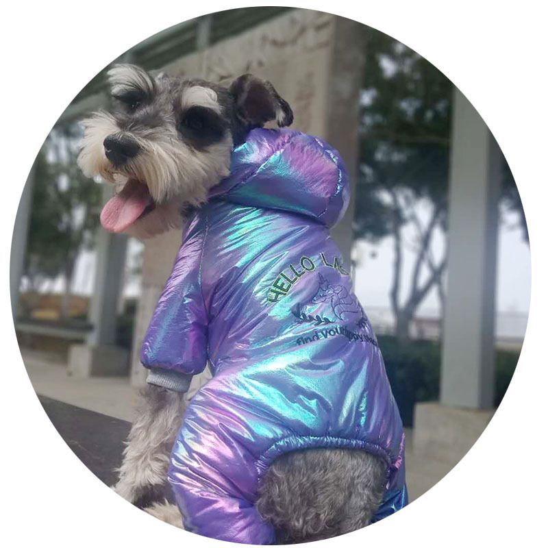 Giacca invernale calda e colorata, antivento, foderata in pile, per animali domestici, nuovo cappotto in cotone per cani e gatti_voghion.com