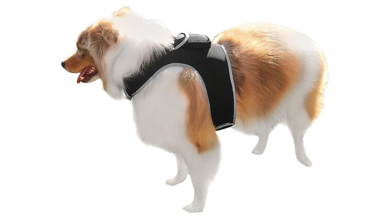 Waterproof GPS Collar Tracking Device for Dog Pet Realtime Tracker NEW Size:XL_voghion.com