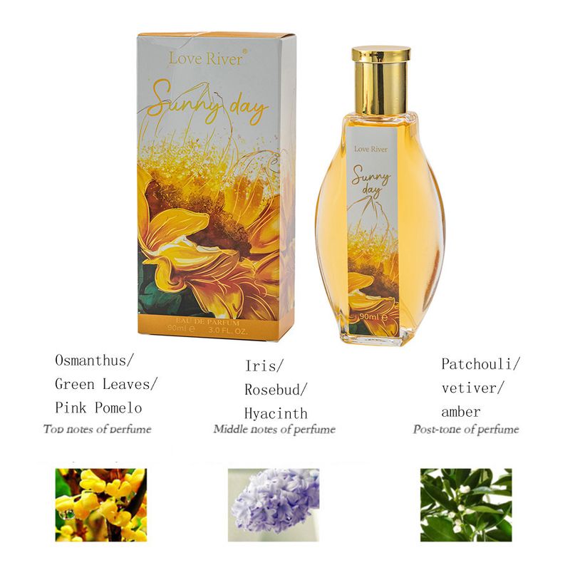 2024 New Perfume is The Best Seller of Perfumes Rose Lady Southeast Asia Dubai Durable Eau De Toilette 90ML_voghion.com