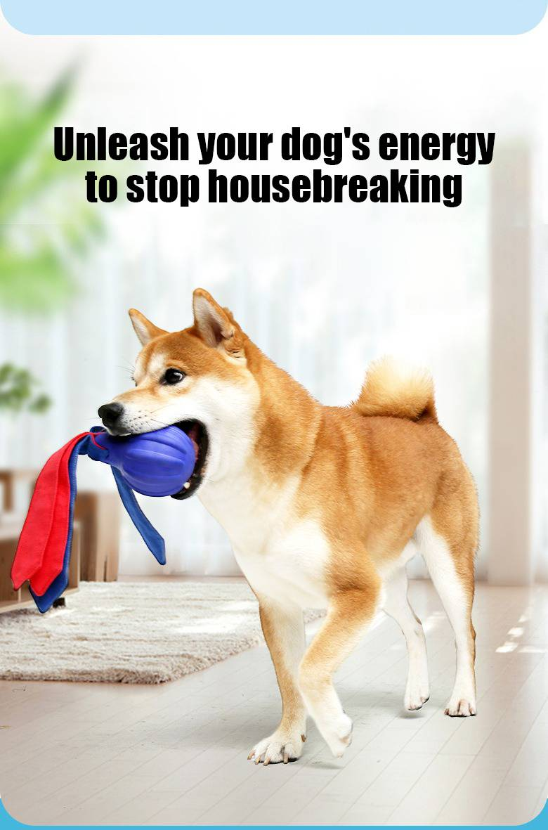 Giocattoli per animali domestici palla da addestramento schiumogena per cani resistente al morso per la dentizione, suono, sonaglio, carta da lancio all'aperto_voghion.com