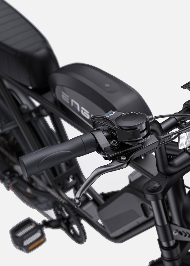 ENGWE M1 Dirt Bike elettrica da 20 pollici con batteria da 48 V15,6 Ah, mountain bike a sospensione completa da 250 W_voghion.com