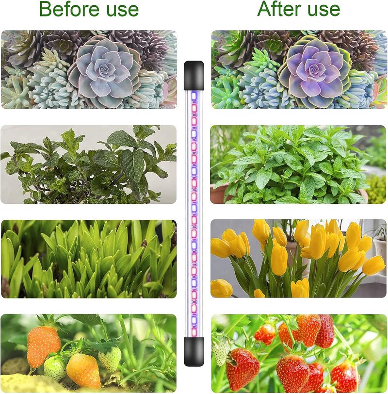 Grond gemonteerde plantengroeilamp LED Full Spectrum Succulent Groene Plant Zaailing Plant Lamp Vullicht Fabrikant_voghion.com