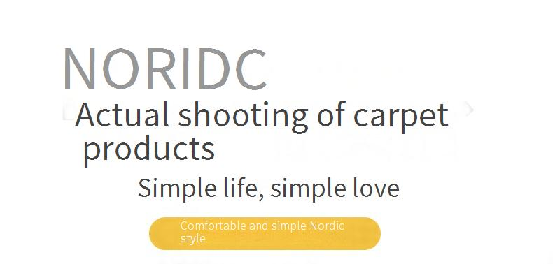 Runder, flauschiger PV-Samtteppich – weicher Plüschteppich für Wohnzimmer, Nachttisch, Yoga – maschinenwaschbar – mehrere Größen und Farben (40 cm, 80 cm, 160 cm)_voghion.com