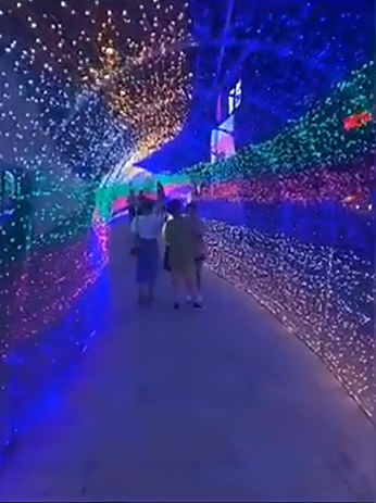 Großhandel mit Weihnachtslichterketten, LED-Farblichtern, Blinklichtern, Lichterketten, Himmelssternen und farbenfrohen dekorativen Atmosphärenlichtern für den Außenbereich_voghion.com