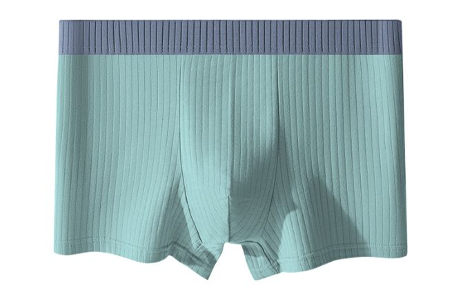 4PCS Boxer Shorts Large Size Seamless Cotton File Men's Boxer Shorts Summer Thin Section Siza L-3XL_voghion.com