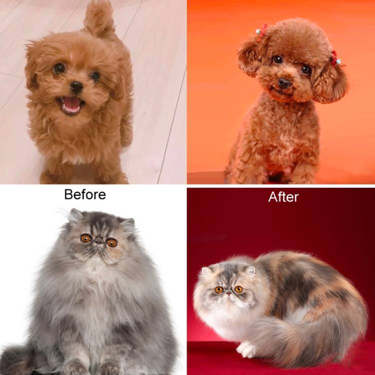 Pet Grooming Scissors Dog Cat Hair Trimming Haircutting Tools_voghion.com