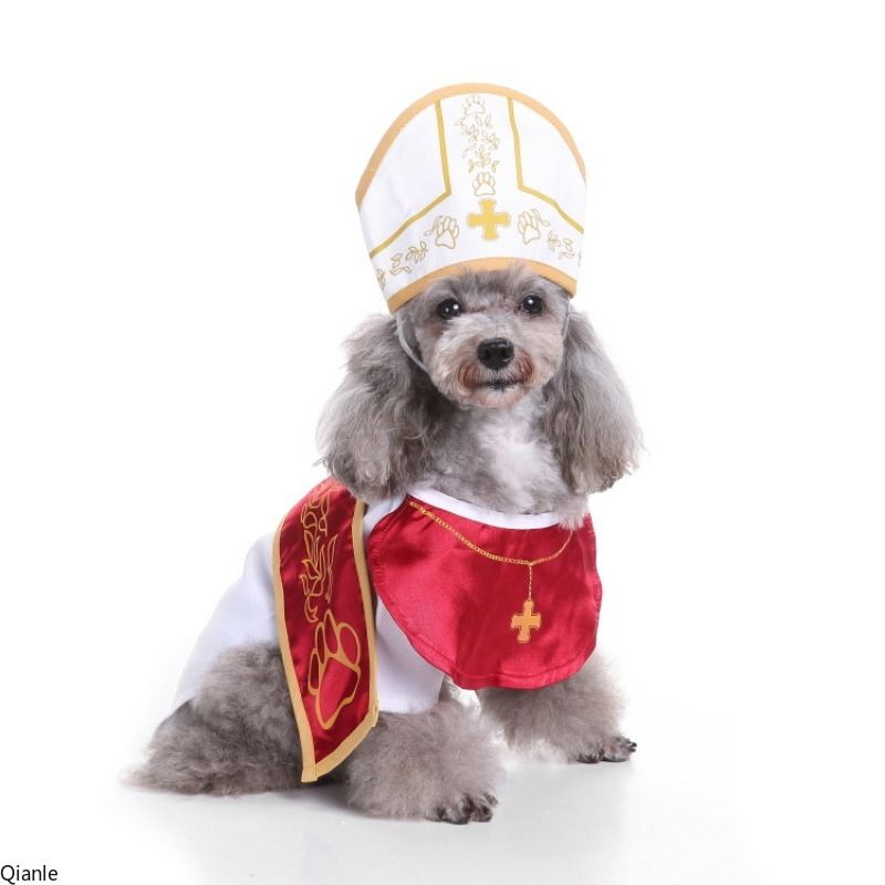 Roupas quentes de inverno para cães, roupas ..._voghion.com