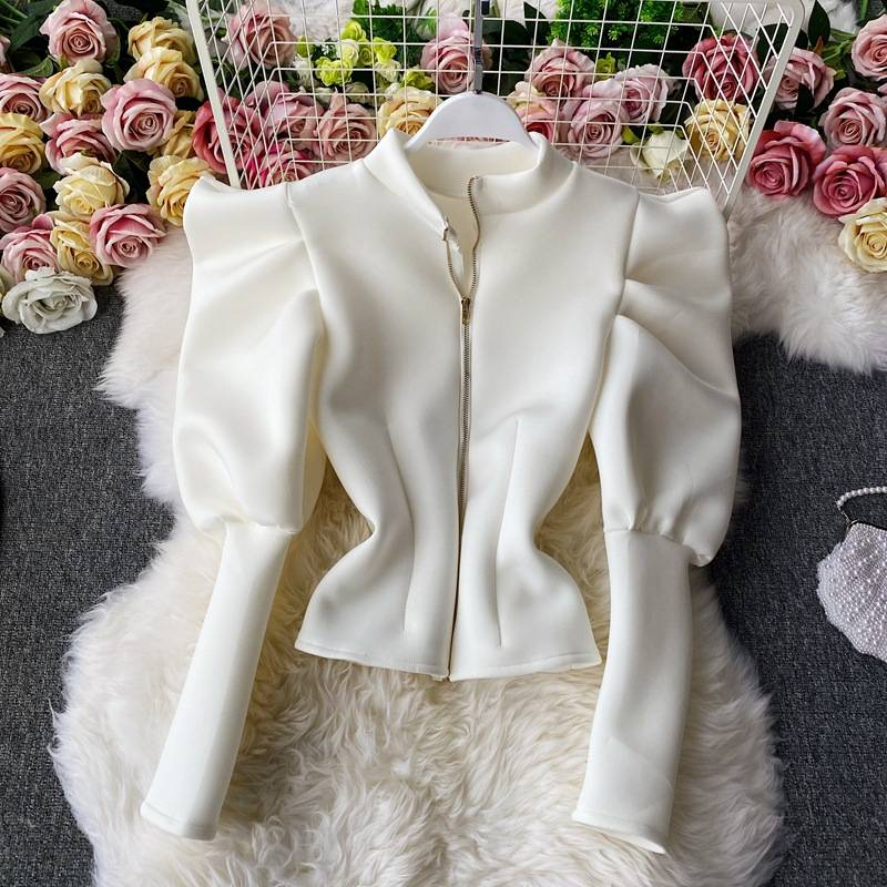 Women's Clothing Temperament celebrity stand up collar shirt female new autumn and winter palace style slim long sleeves fashionable puff sleeve tops _voghion.com