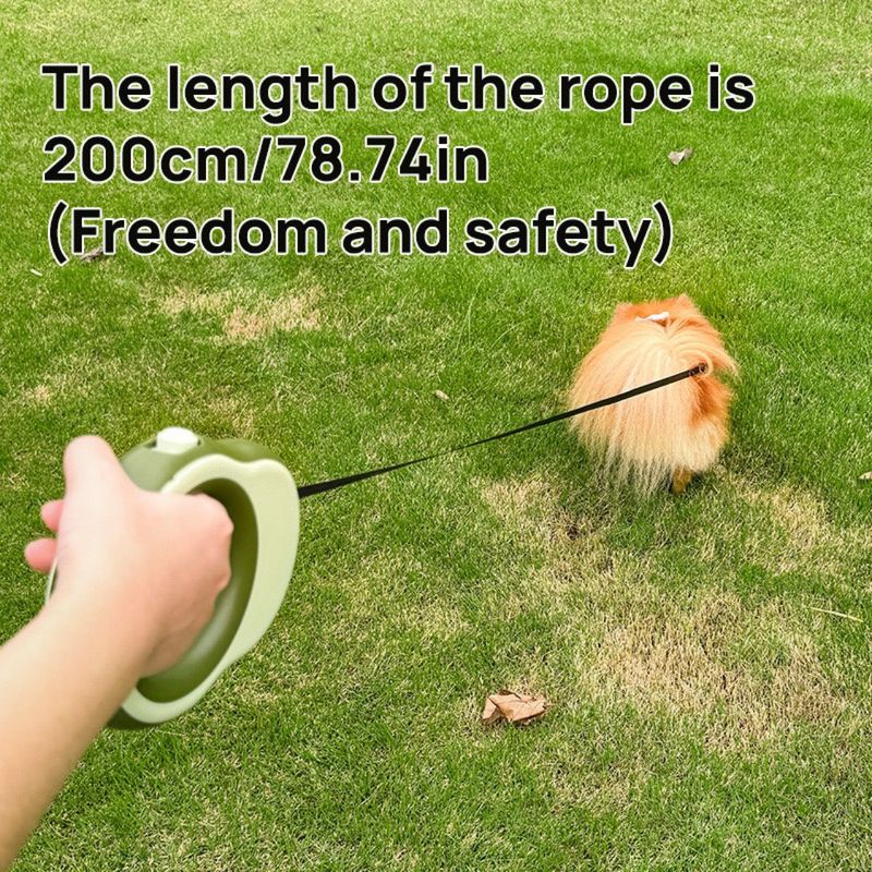 Automatic Retractable With Light, Round Ring Glowing Dog Walking Leash, Pet Leash_voghion.com