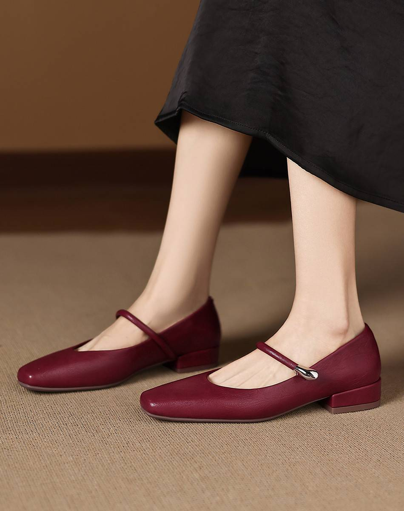 Cameido French Vintage Square Toe Versatile Shallow Square Heel Shoes For Women, 2025 Autumn Mary Jane Style With Ankle Strap_voghion.com