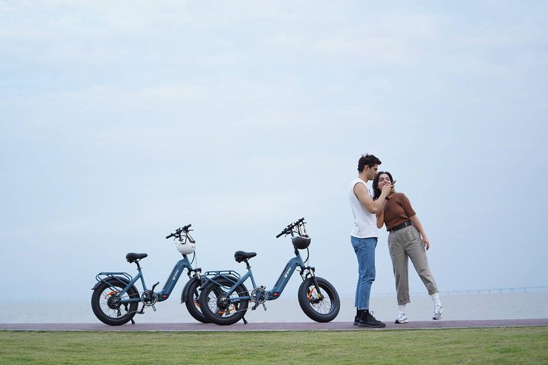 DYU FF500 Foldbar Elcykel 500W motor 48 v14ah lithium batteri City Riding dame elcykel 20*4.0 Fat Tire cykel_voghion.com