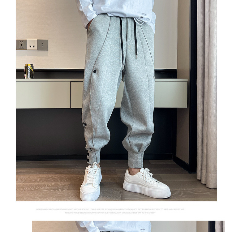 Men's Clothing Four Seasons Thickened Regular Sports Pants Men's Handsome Trendy Design Harem Pants Plus Velvet Casual Cuffed Sweatpants_voghion.com