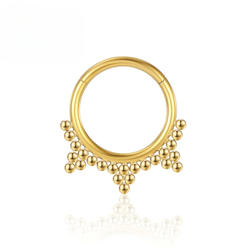 F136 Titanium Nose ring Cartilage Hoop Earrings Septum Clicker 16G Tragus Piercing Lobe Hinged Segment Helix Zircon Body Jewelry_voghion.com
