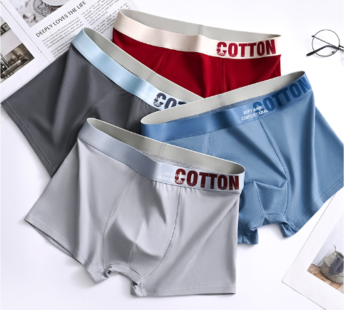 4 bucăți boxer pentru bărbați de înaltă calitate de vară L-5XL_voghion.com