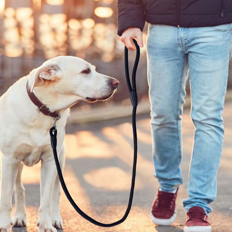 1,5 M Starke Hundeleine, Anti-Zug-Hundeleine Zum Training Oder Gehen, Geeignet Für Kleine, Mittlere Und Große Hunde, Schwarz_voghion.com