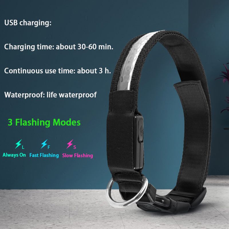 con ID inciso, targhetta luminosa e personalizzata, collare per cani in nylon personalizzato, luce LED USB, collare di sicurezza notturno Perro di PawParty Store_voghion.com