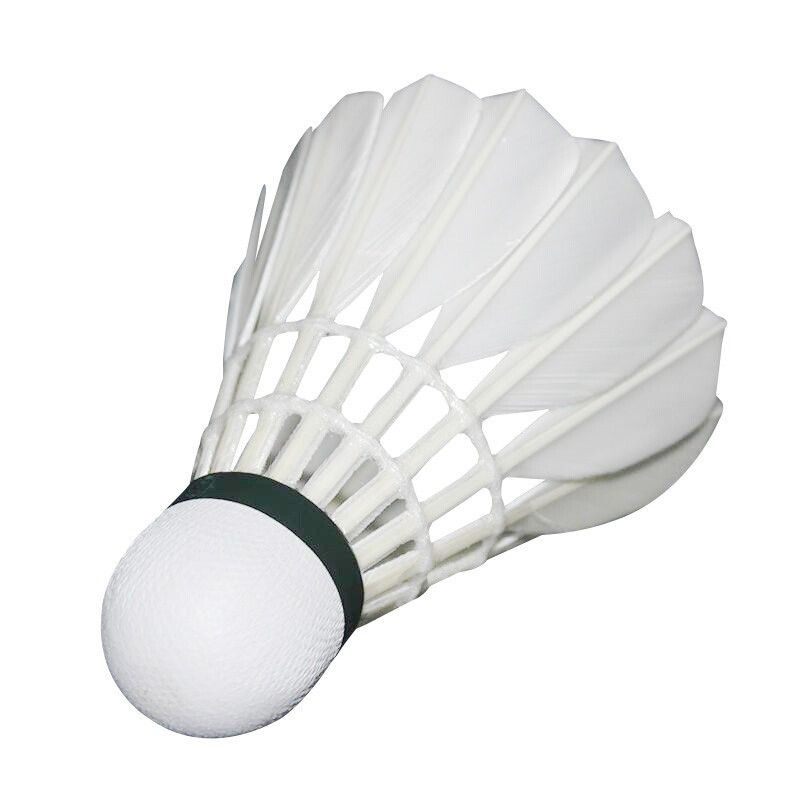 Yashilong RSL Competition Training Flight Stable Asia No. 6 Duck Feather Badminton Single Tube 12 Pack NO.6_voghion.com