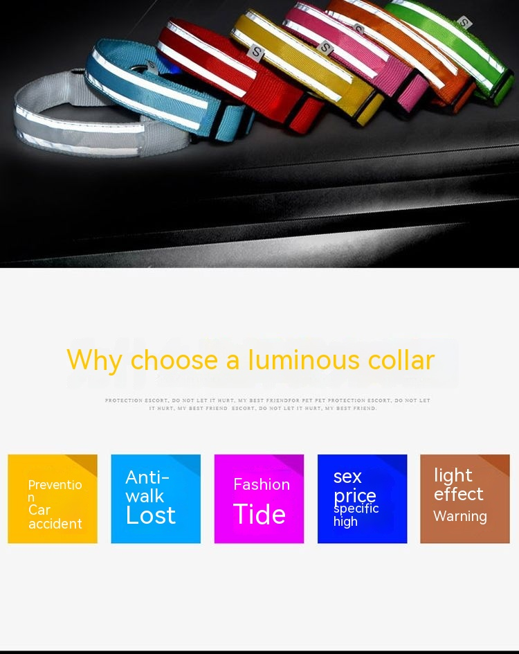 Collare per cani ricaricabile tramite USB, luminoso, animale domestico di grandi dimensioni_voghion.com