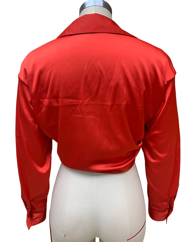 Top da donna a maniche lunghe con collo a polo in raso di seta casual dal temperamento solido_voghion.com