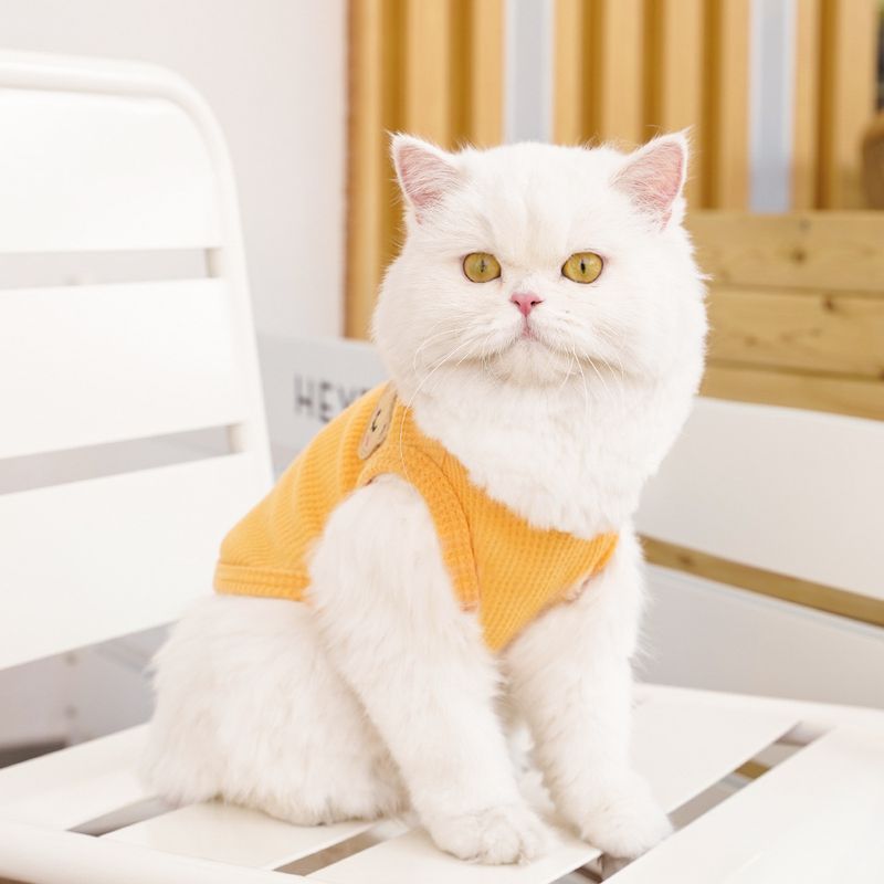 Haustierkleidung Waffelbär Sommerweste Teddy mittlere und kleine Hundekatze Hundekleidung Fabrik Großhandel_voghion.com